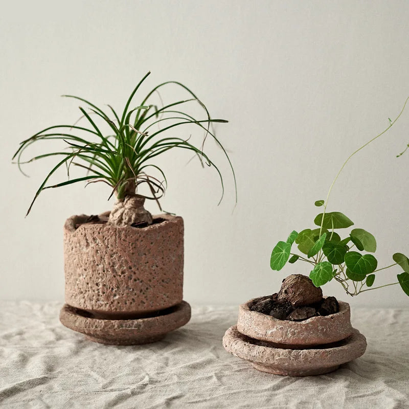 This Rough Pottery Vase, crafted from ceramic and porcelain in a medium size, embodies timeless pastoral charm. Its textured finish and natural tones bring an authentic, rustic feel to any interior, making it an ideal centrepiece for those who appreciate artisanal craftsmanship and classic country style. Perfect for displaying dried flowers or standing alone as a statement piece, it blends durability with elegant simplicity.