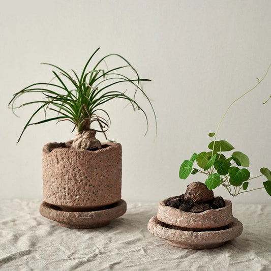 This Rough Pottery Vase, crafted from ceramic and porcelain in a medium size, embodies timeless pastoral charm. Its textured finish and natural tones bring an authentic, rustic feel to any interior, making it an ideal centrepiece for those who appreciate artisanal craftsmanship and classic country style. Perfect for displaying dried flowers or standing alone as a statement piece, it blends durability with elegant simplicity.
