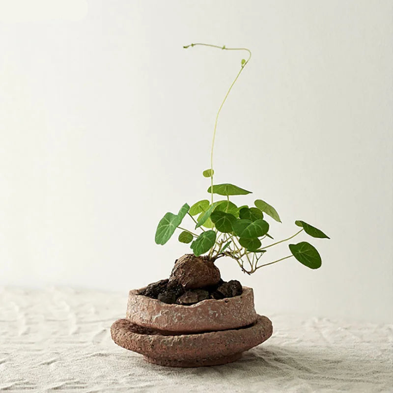 This Rough Pottery Vase, crafted from ceramic and porcelain in a medium size, embodies timeless pastoral charm. Its textured finish and natural tones bring an authentic, rustic feel to any interior, making it an ideal centrepiece for those who appreciate artisanal craftsmanship and classic country style. Perfect for displaying dried flowers or standing alone as a statement piece, it blends durability with elegant simplicity.