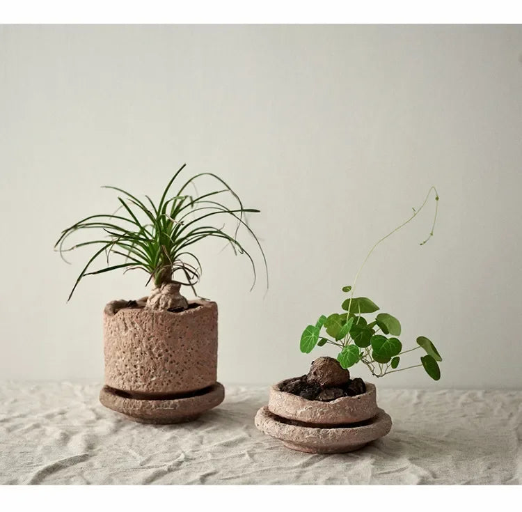 This Rough Pottery Vase, crafted from ceramic and porcelain in a medium size, embodies timeless pastoral charm. Its textured finish and natural tones bring an authentic, rustic feel to any interior, making it an ideal centrepiece for those who appreciate artisanal craftsmanship and classic country style. Perfect for displaying dried flowers or standing alone as a statement piece, it blends durability with elegant simplicity.