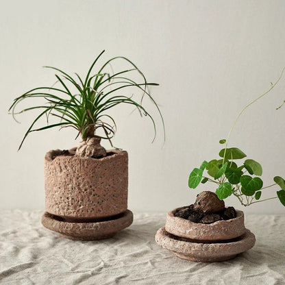 This Rough Pottery Vase, crafted from ceramic and porcelain in a medium size, embodies timeless pastoral charm. Its textured finish and natural tones bring an authentic, rustic feel to any interior, making it an ideal centrepiece for those who appreciate artisanal craftsmanship and classic country style. Perfect for displaying dried flowers or standing alone as a statement piece, it blends durability with elegant simplicity.