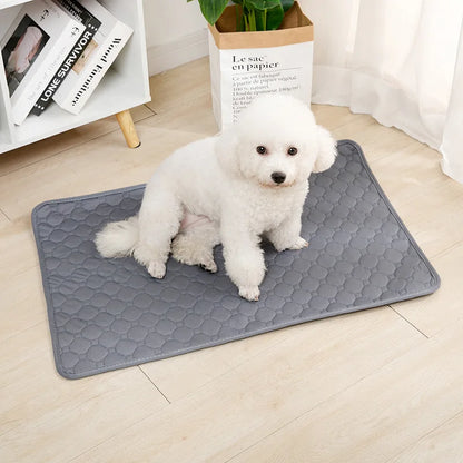 Reusable Dog Pee Pad Blanket Absorbent