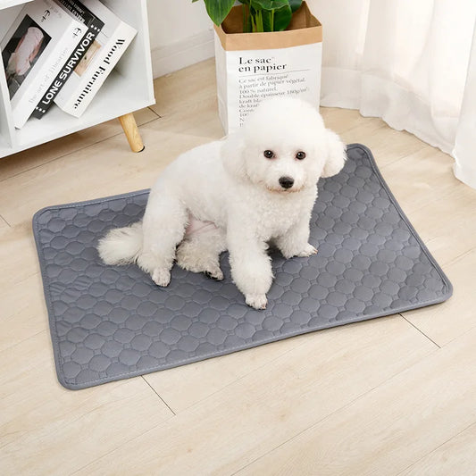 Reusable Dog Pee Pad Blanket Absorbent